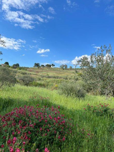 Casa Country Villa Agrigento Dış mekan fotoğraf