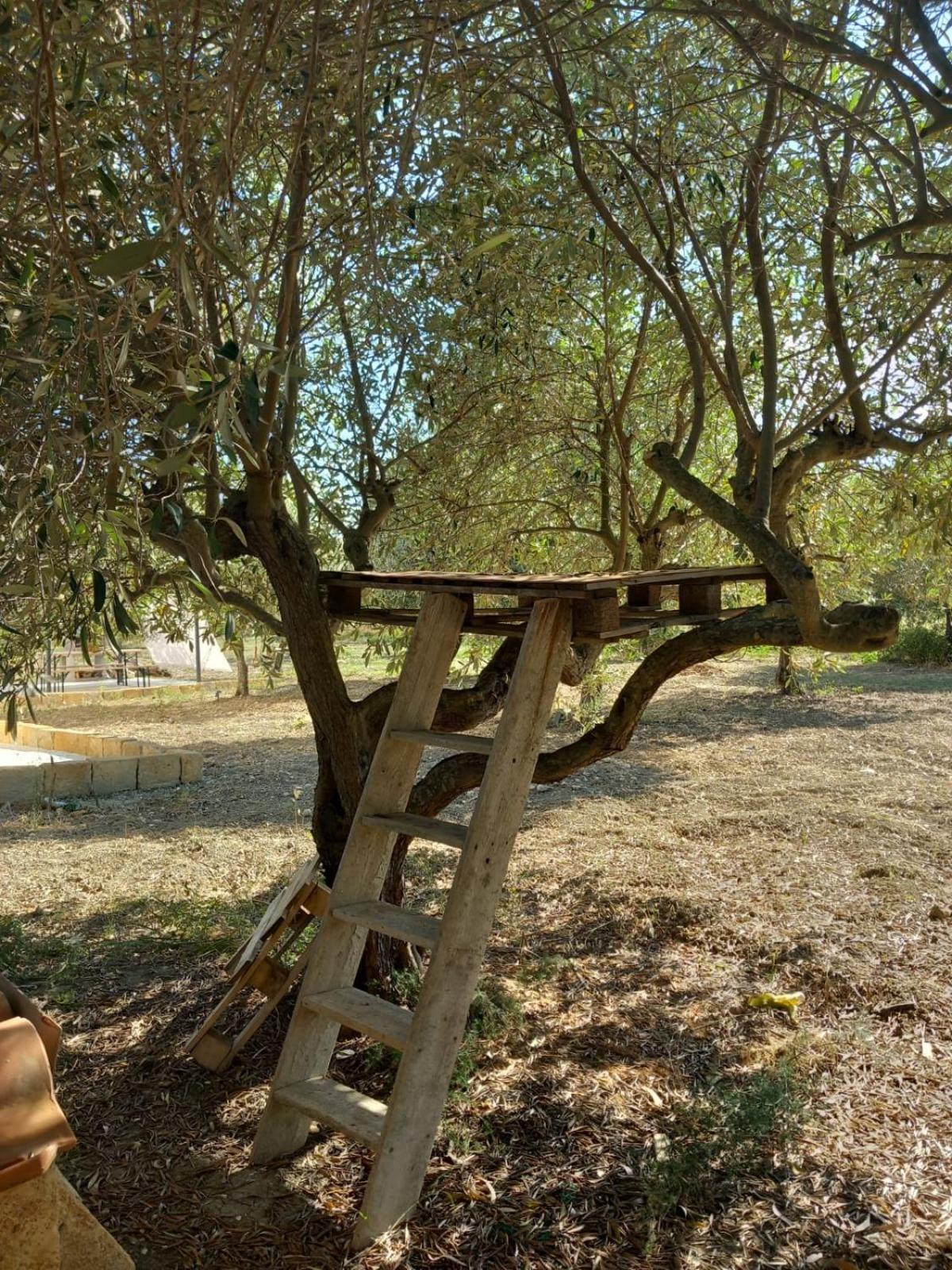 Casa Country Villa Agrigento Dış mekan fotoğraf