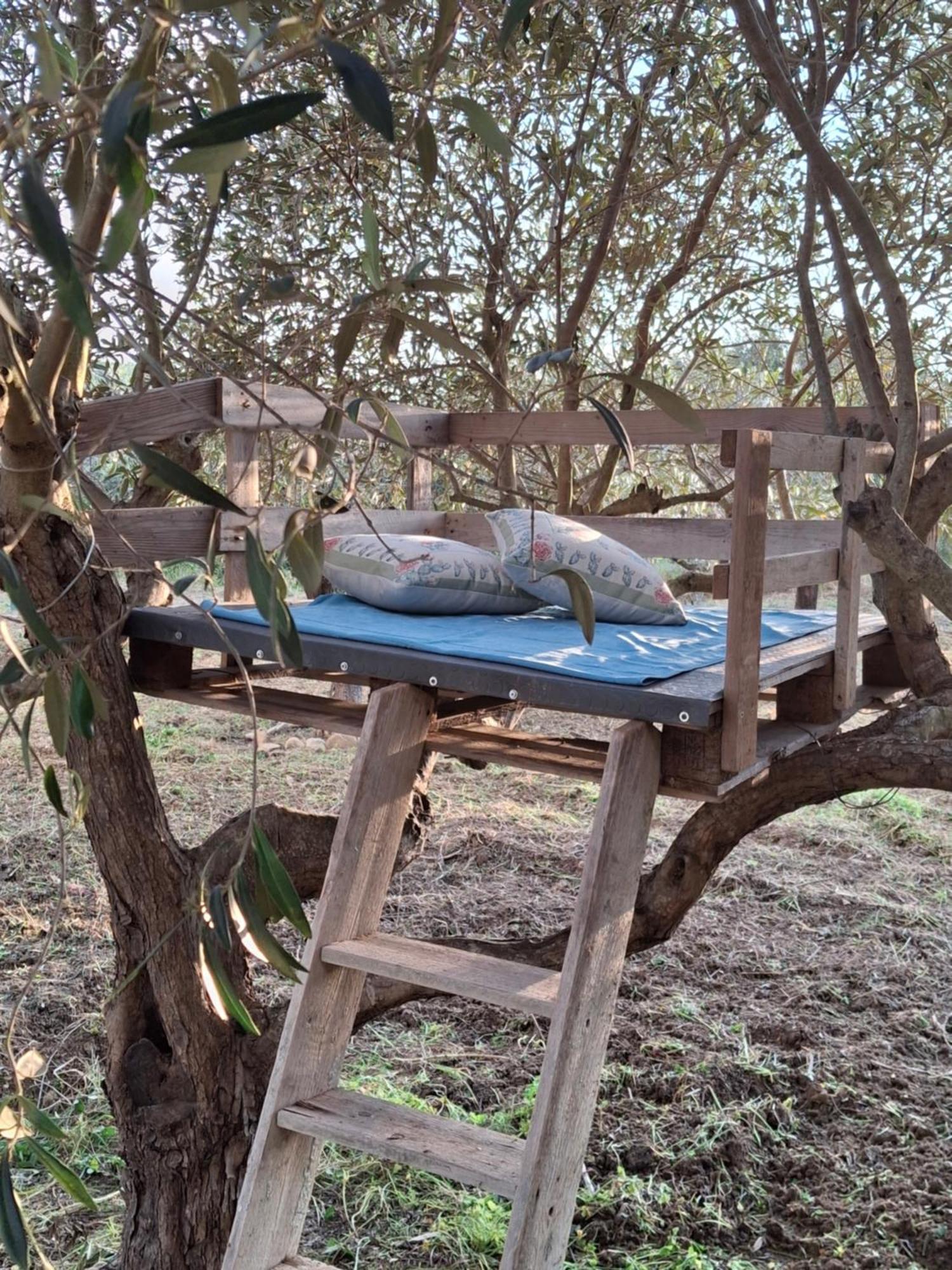 Casa Country Villa Agrigento Dış mekan fotoğraf